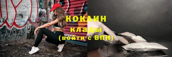 крисы Магадан