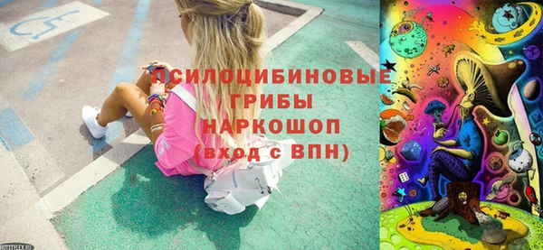хмурый Магас
