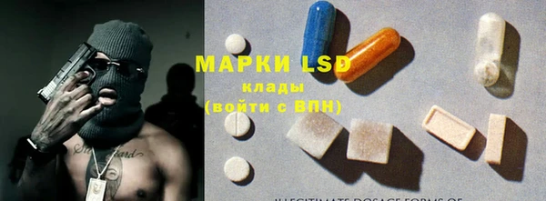 хмурый Магас