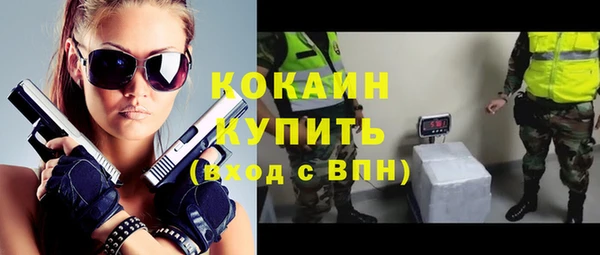 крисы Магадан