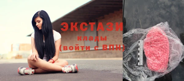 хмурый Магас