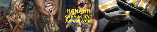 хмурый Магас