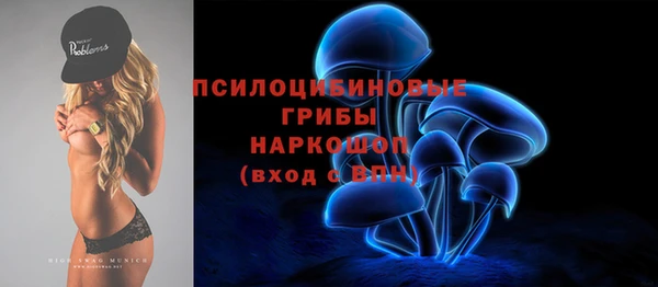крисы Магадан