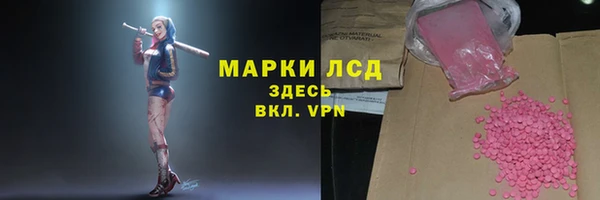 хмурый Магас