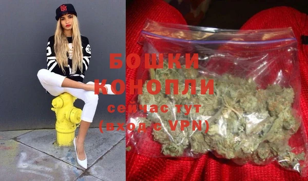 крисы Магадан