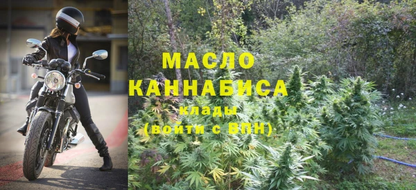 хмурый Магас