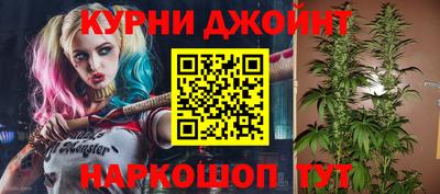 ГАЛЛЮЦИНОГЕННЫЕ ГРИБЫ Кандалакша