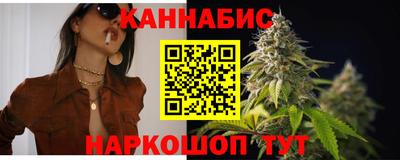СК Кингисепп