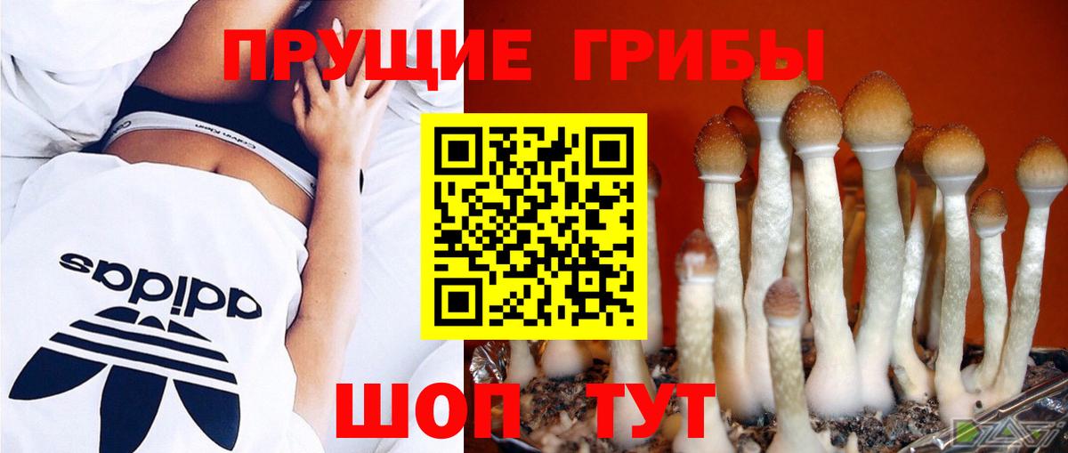 Нерюнгри  Галлюциногенные грибы Cubensis  Вход с VPN  Галлюциногенные грибы мухоморы 