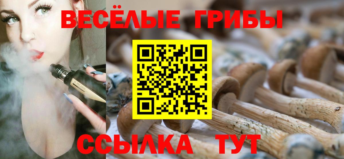 Галлюциногенные грибы GOLDEN TEACHER Нерюнгри
